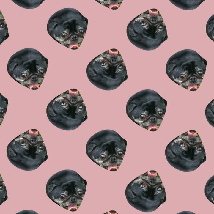 0d99e325 7e52 473d b9ad ca5353c5da9d