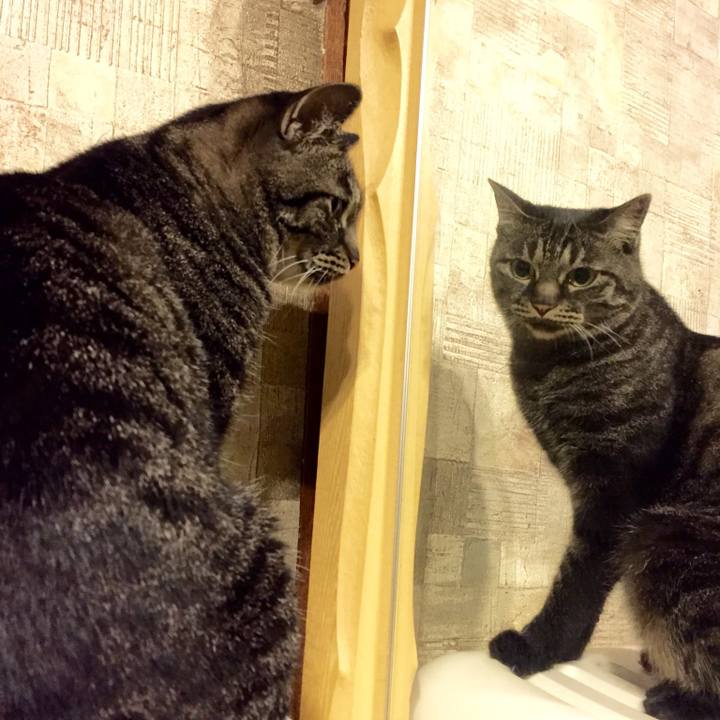 0d9a65fc 9136 4957 847a 2a4873cb0c97