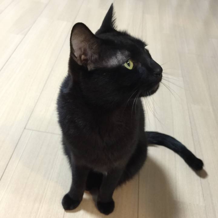 0d9a67dc 088a 45ef 8fd5 808208d74343