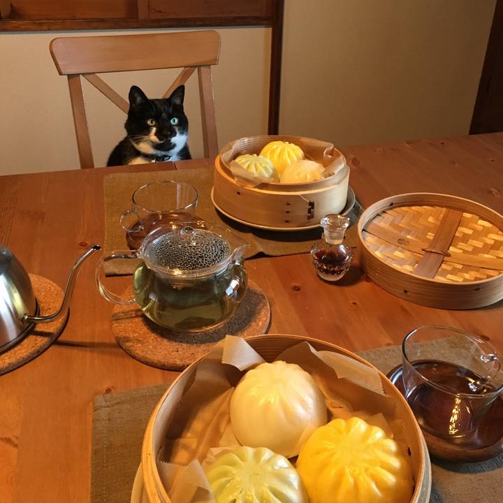 0d9a6883 a99d 4498 bd49 df1af9f70956