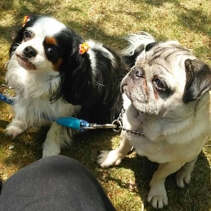 0d9aa216 a702 48b6 acf7 b9388734ae4f