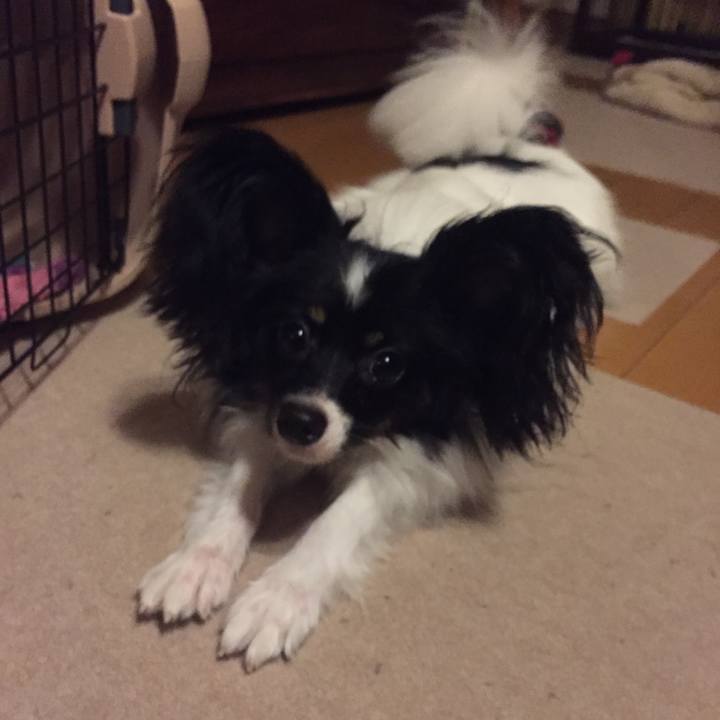 0d9aaad5 9590 43e5 82bc a0237f7d2b4c