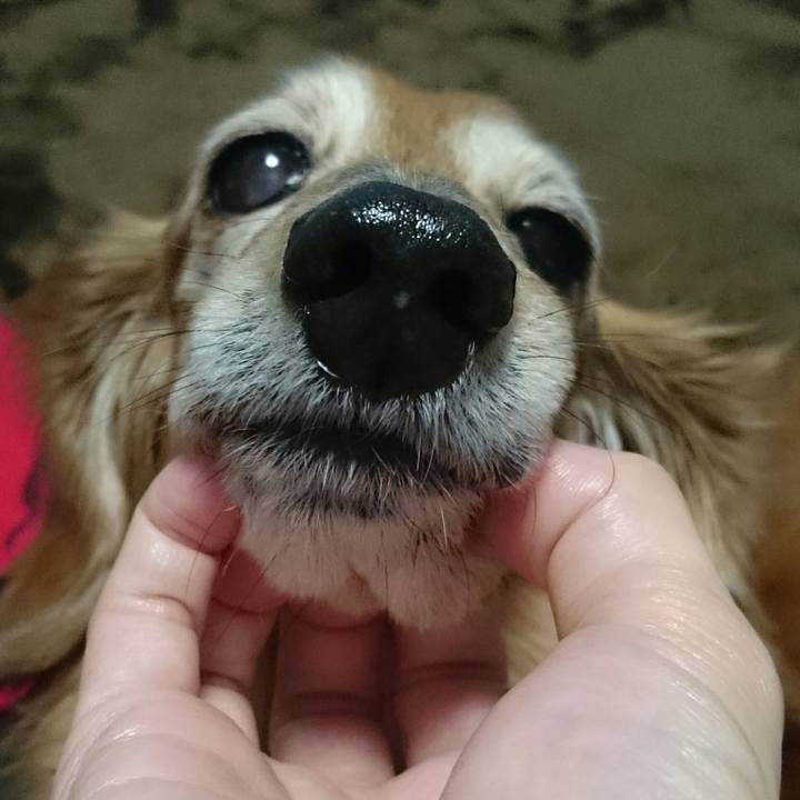 0d9b562e 814b 4337 ae78 fb1c3912ef7e