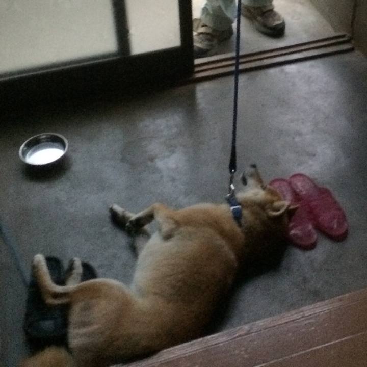 0d9b81ca 0f8e 44b1 b877 791e70b0d6e4