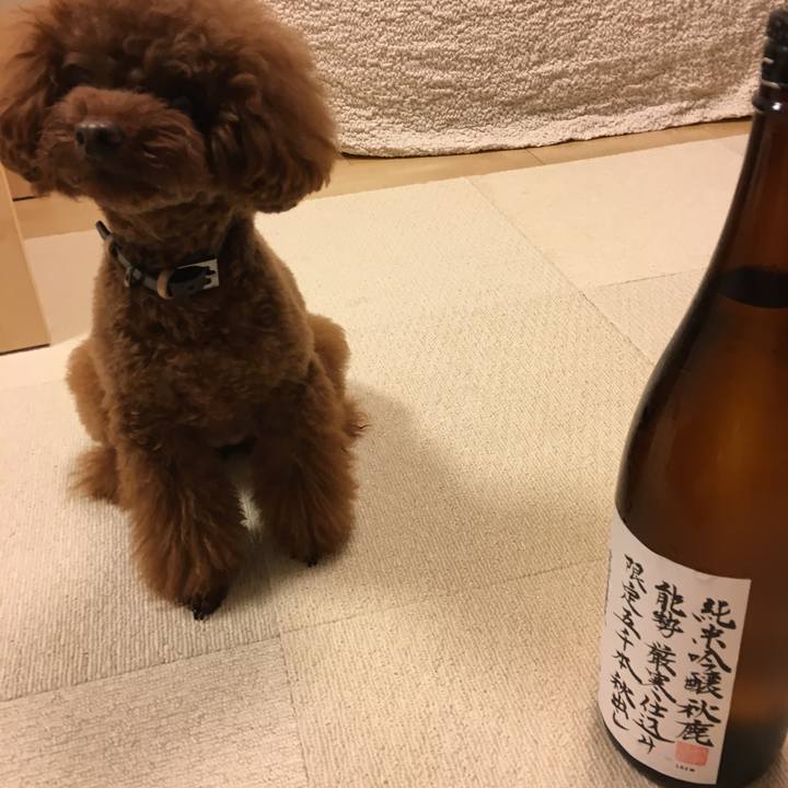 0d9bebbe cc4c 4092 89af b6fe41e6b34d