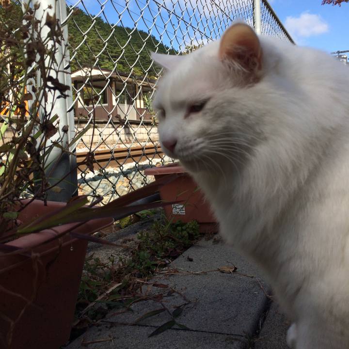 0d9c9ff7 33a0 4d80 97de 6dfb7242d128