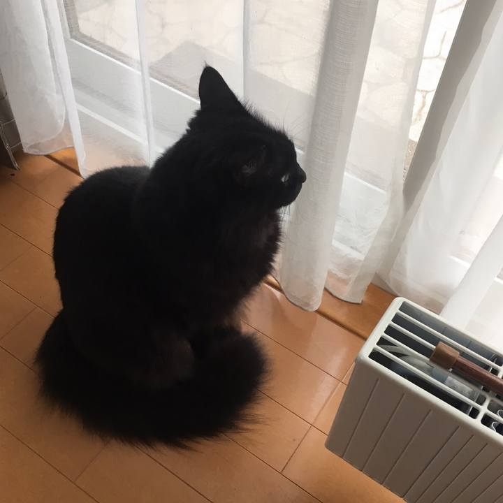 0d9cab23 8c14 485f 93fd e7723919e07f