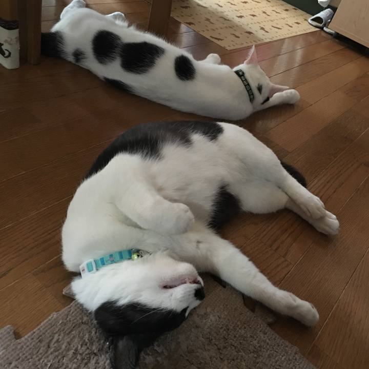 0d9ce07f 50c1 4e16 9c48 306c94e9fcae