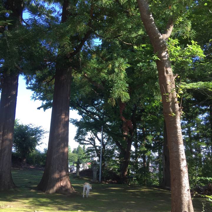 0d9cf1c7 f558 45f3 9691 24238be175c0