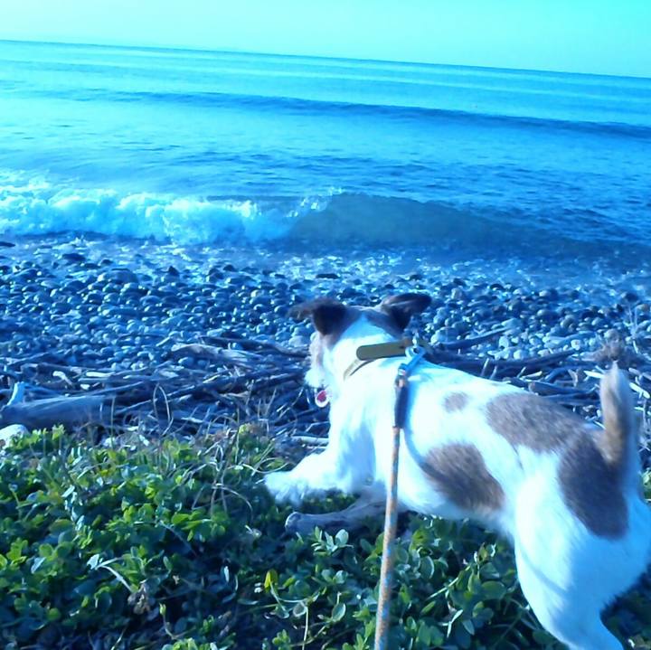 0d9d571b 4102 40c6 a089 c85c28d5e627