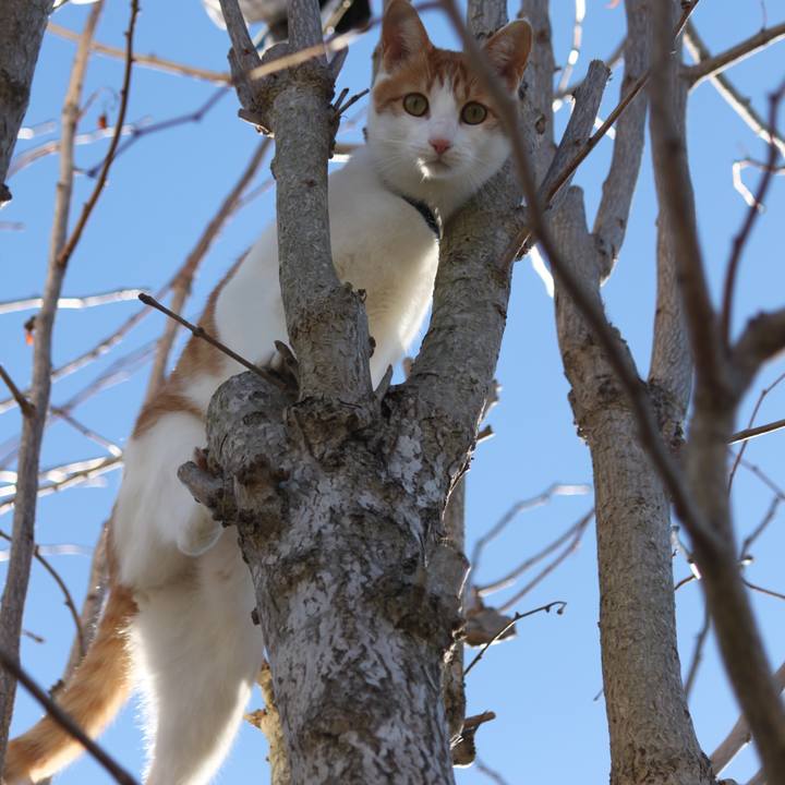 0d9ddf7c 3195 42b0 b5ee ea8a1aed6f3f