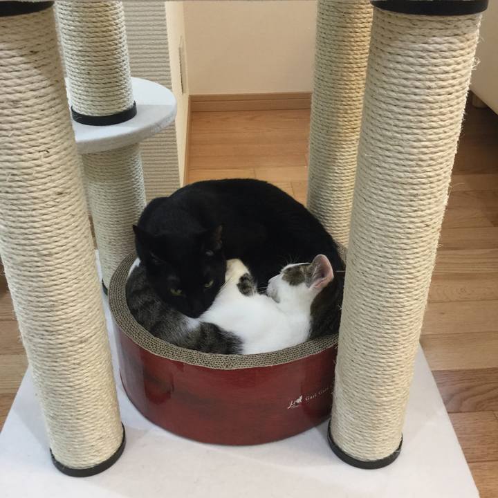 0d9de4c1 6afb 4aa5 8673 e316447f2fe6