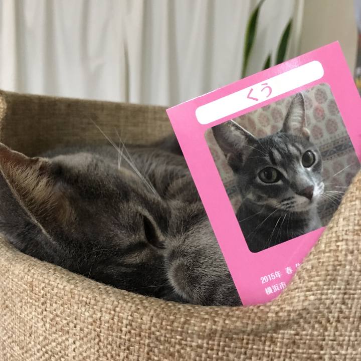 0d9ecc42 feb1 4934 bff0 4f9ba9f65383