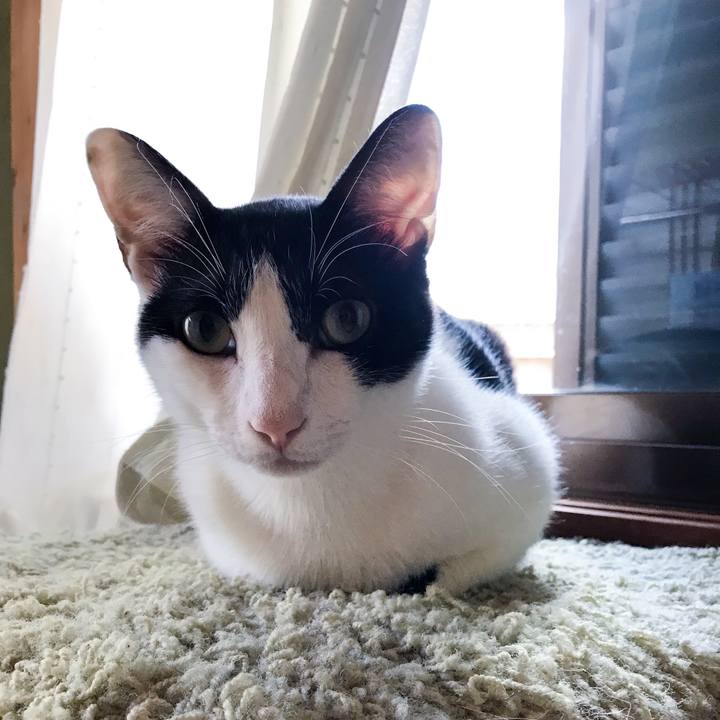 0d9fa6df 9cec 421d 9386 b46eccb3c816