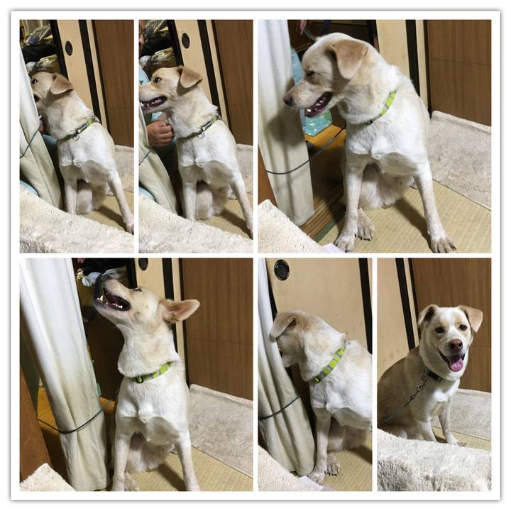 0da0ce5b 315c 4d25 8f80 3c937b5a892f