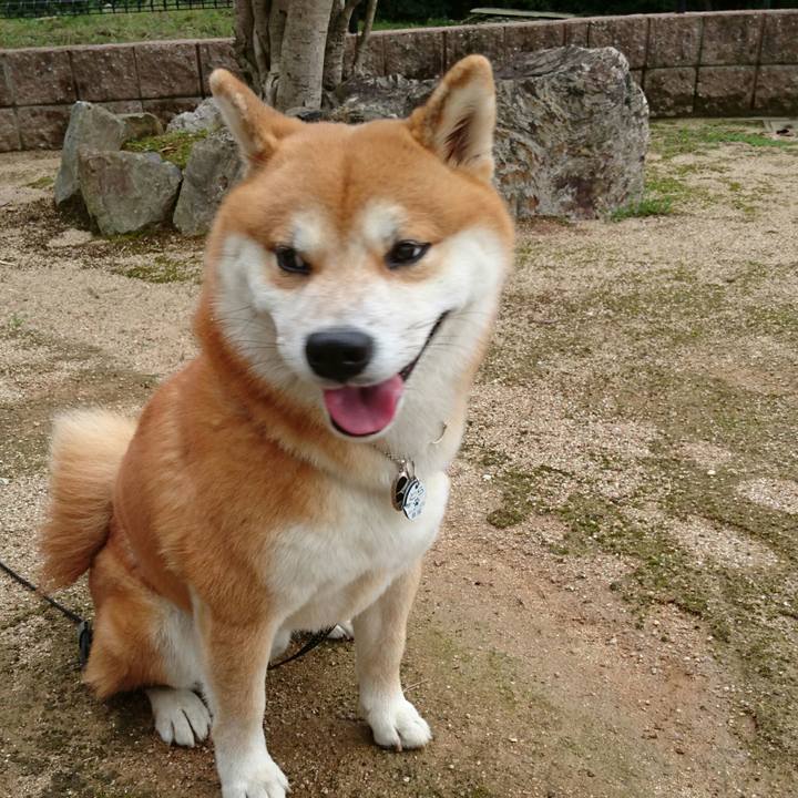 0da0e79d 0bee 4dbe b2e7 60b10a068786