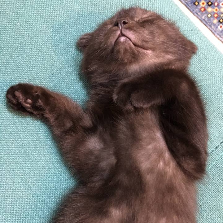 0da12382 27af 4986 a145 f8fc9140dcf7