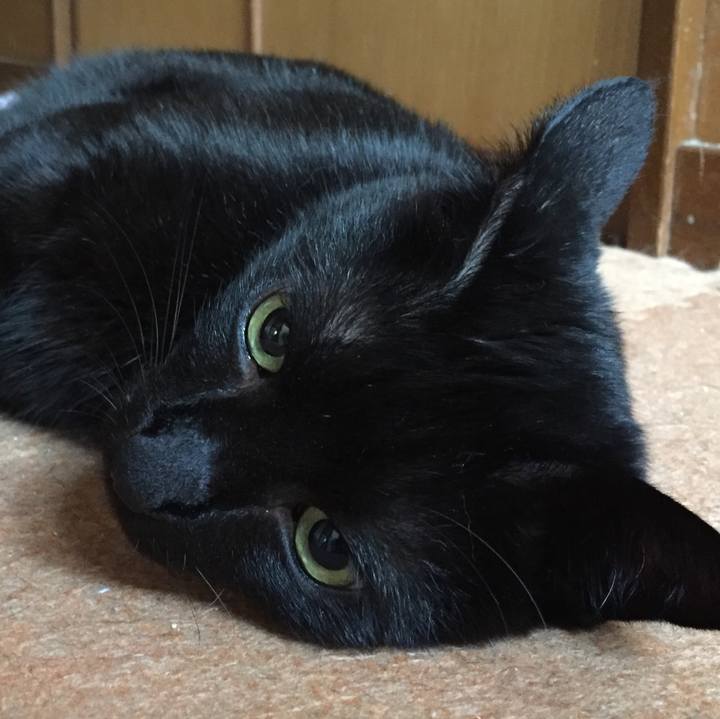 0da1850d 5027 4e09 8e17 af905b3f7f85