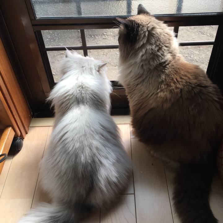 0da1da41 54b4 4e70 86bc ff85fbe375b1