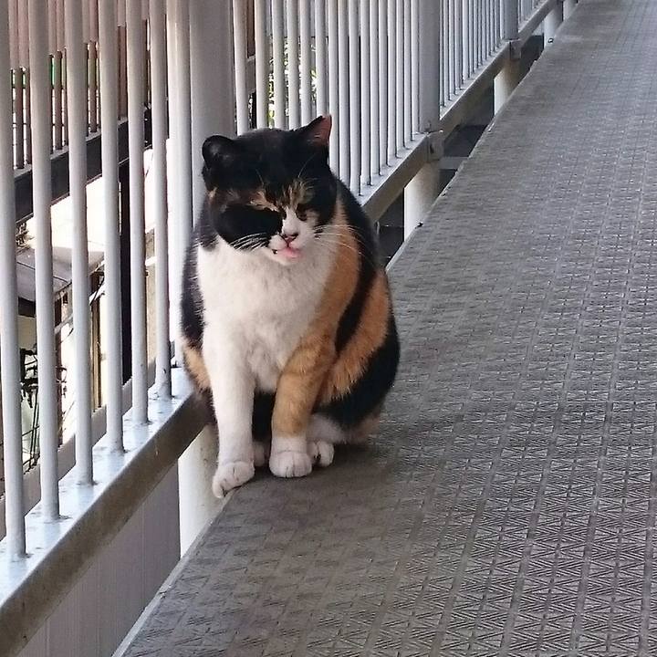 0da248a8 651a 4be8 9109 bcb1dce2c92c