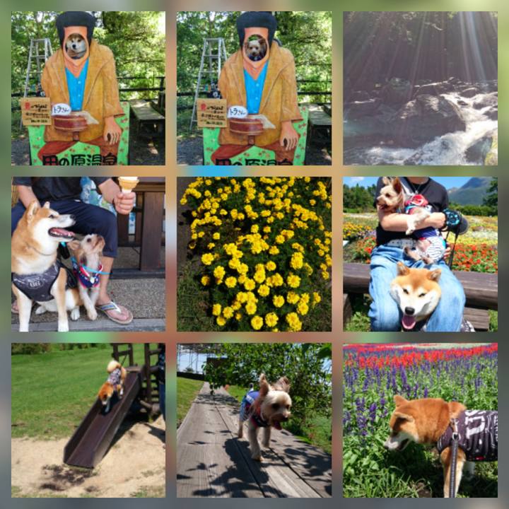 0da24b6f a53d 43c9 b656 f881df7f18a5