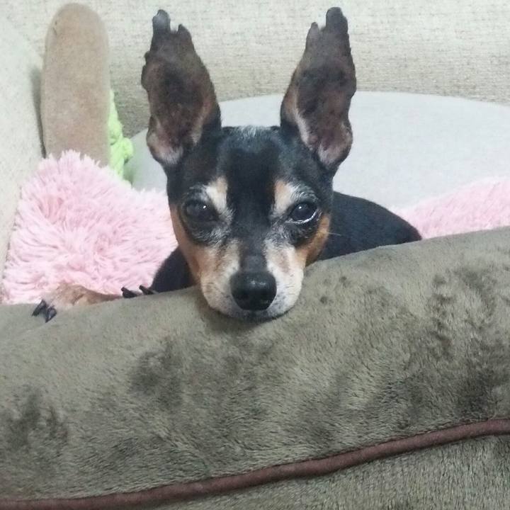 0da2a059 9ecd 41f6 b94d f07b31ab56ec