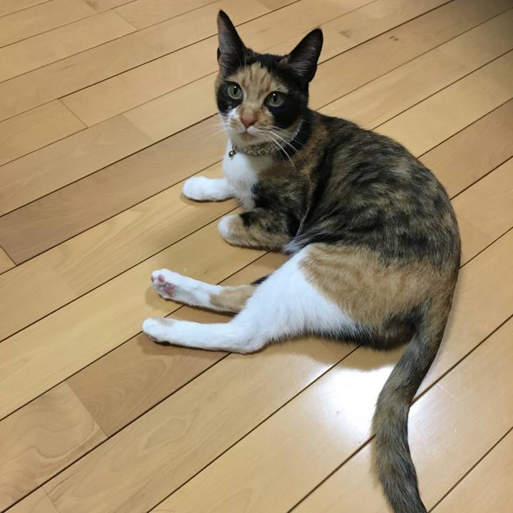 0da327de 7892 4bff 880d bea9a76906d0