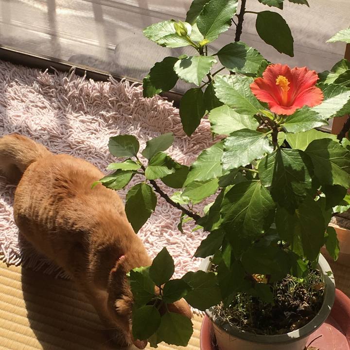 0da3505d b742 490f 8ca2 7bee98342ba1