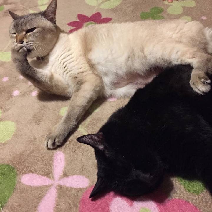 0da372f2 ff92 4798 8651 ba104ba06e3e