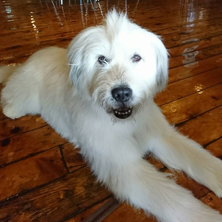 0da374ec 45c3 4db0 9773 e2e6a32fd119