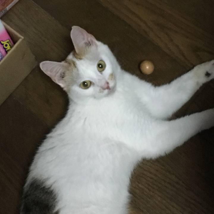 0da3a1df 3210 409a a925 96c0497201eb