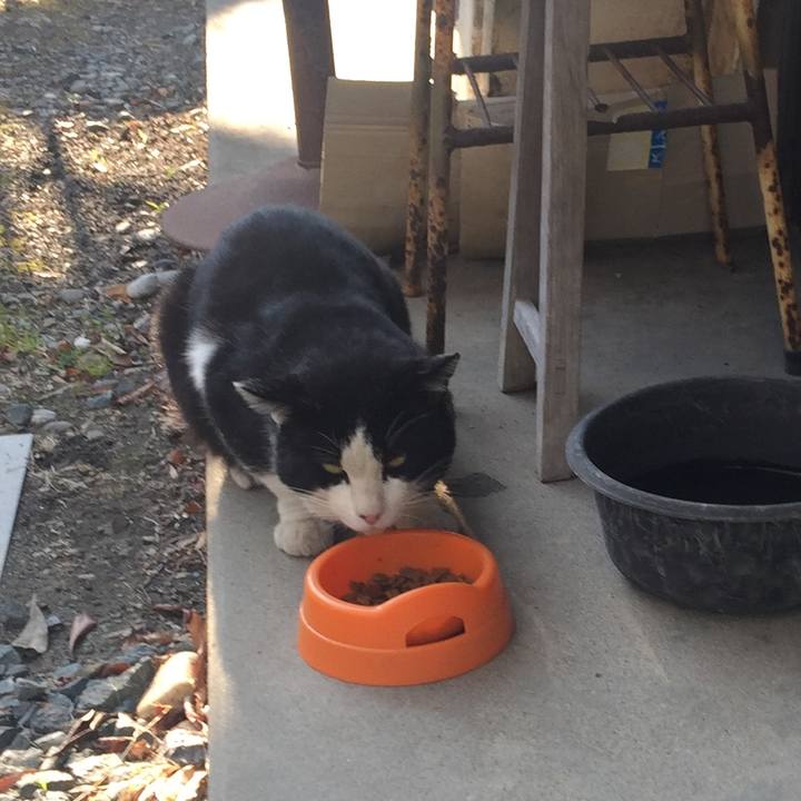 0da3cd4d 41b7 4a48 88a4 c501d47cc71e