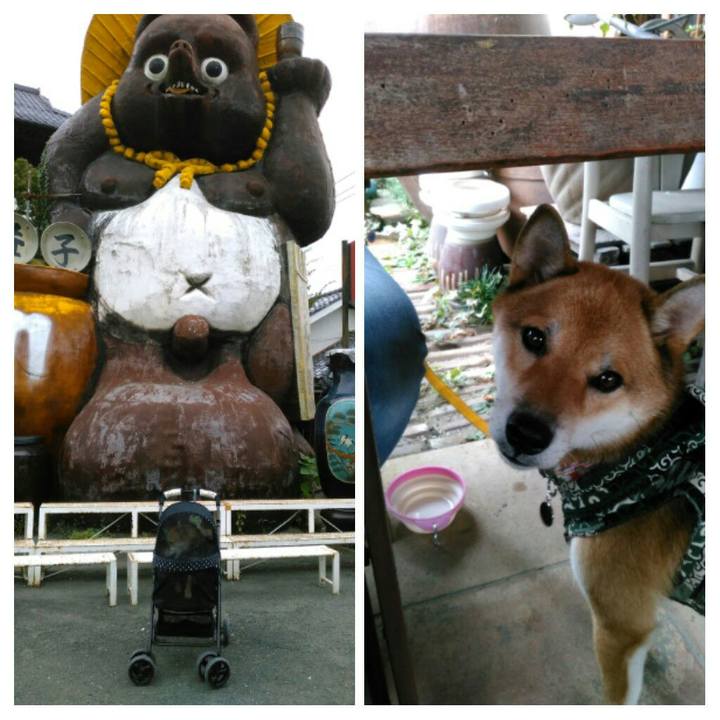 0da43519 45cf 49b1 b485 e1929c15948f