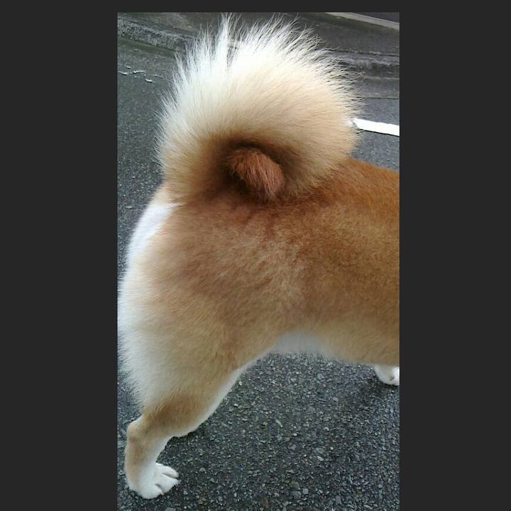 0da44e6b e7b2 409e 928c d487c9cde72f