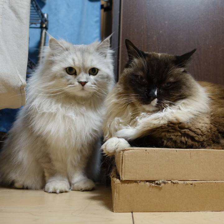 0da48edf 5998 48fe 8c85 e80fa585e965