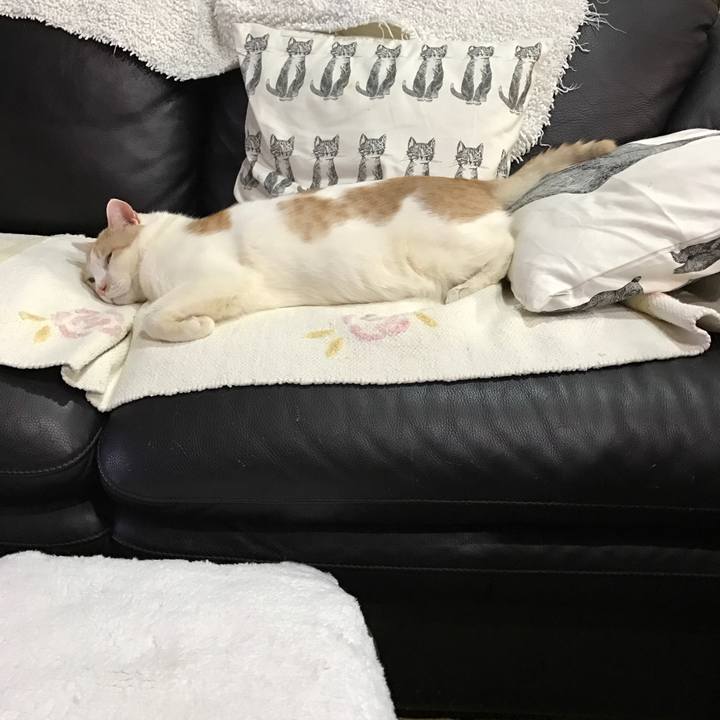 0da4b4f6 3add 403e b948 85e5e2a4b3e1