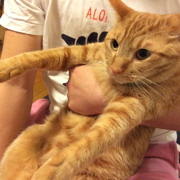 0da4b9d2 eb5a 4b0b a654 e0cf10578434