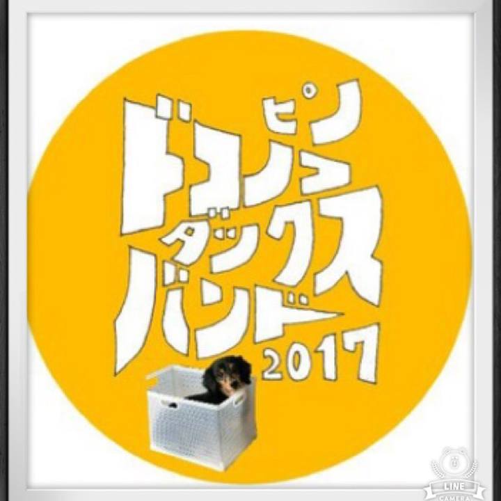 0da4e06d 38c9 494b 93df 866e32daf7fa