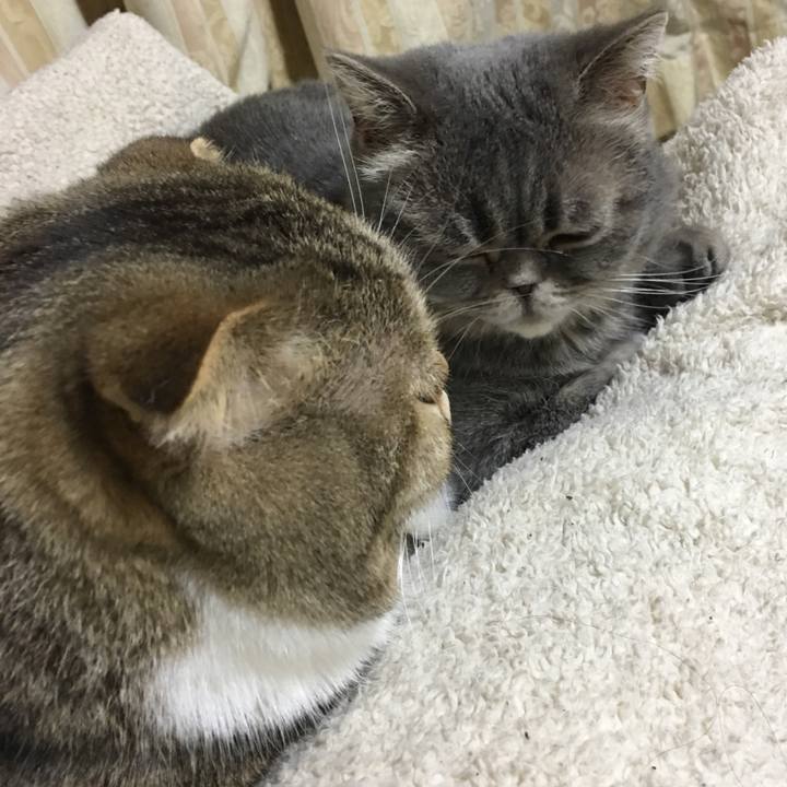 0da4e26a 1824 426b bc0a 8b900ef4225d