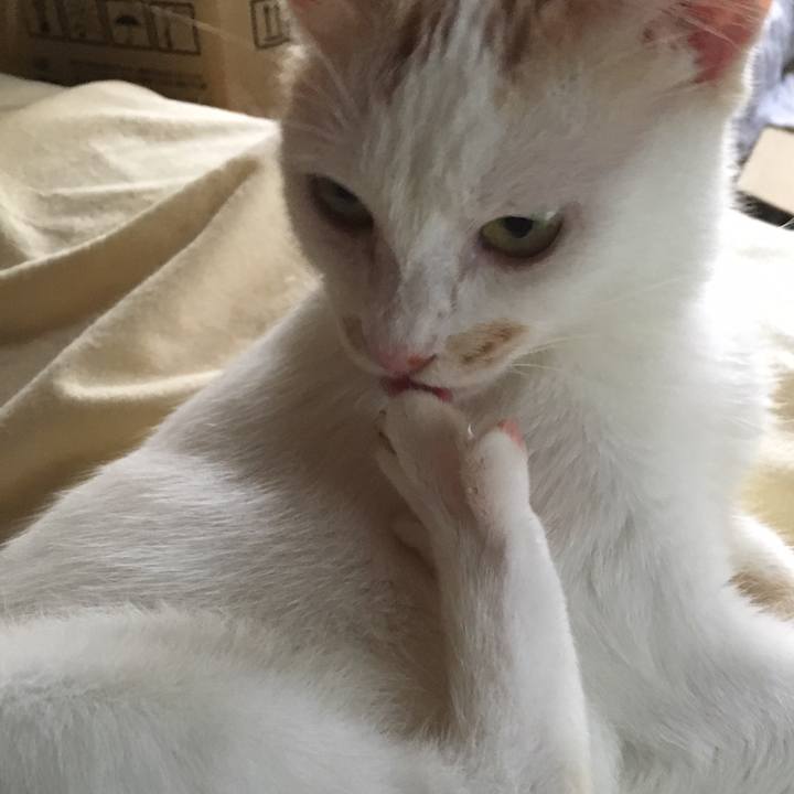 0da60dab f8d9 49ee 9a54 0f29babf1832