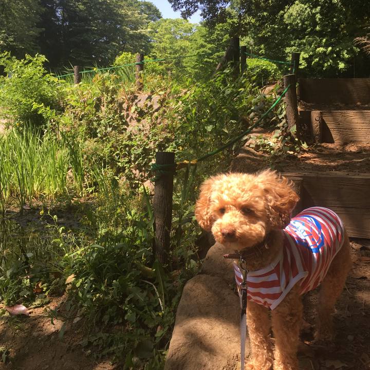 0da61b5c e475 4b0d 8fa9 10aade502b01