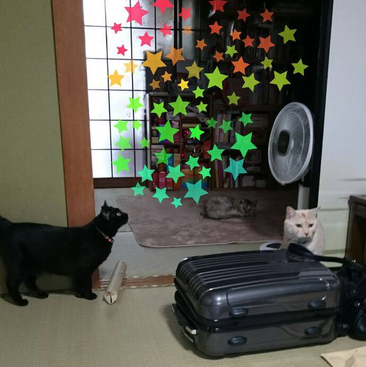 0da67cd6 571e 4d1f ad70 f083e4e768a5