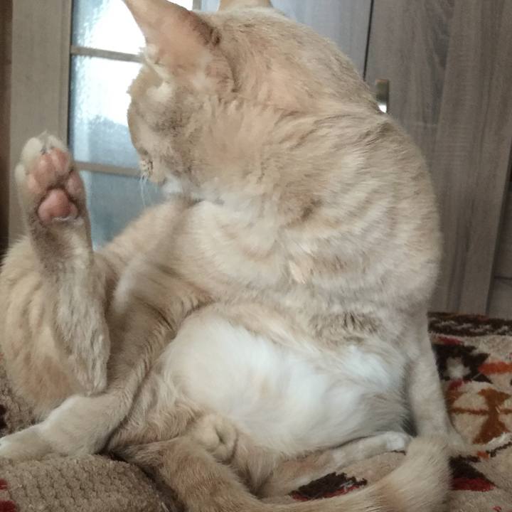 0da6a6b8 99db 466b b3ac 34db64ba0cc5