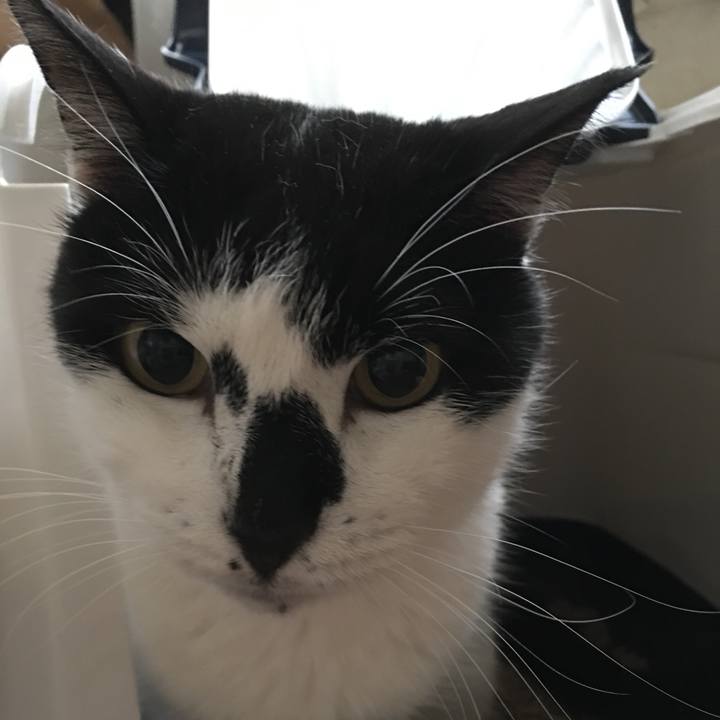 0da6d678 df70 4d23 b541 89f540eceda5