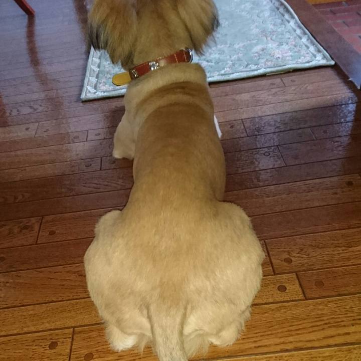 0da6fd5b 3262 4fce bff4 da8839650185