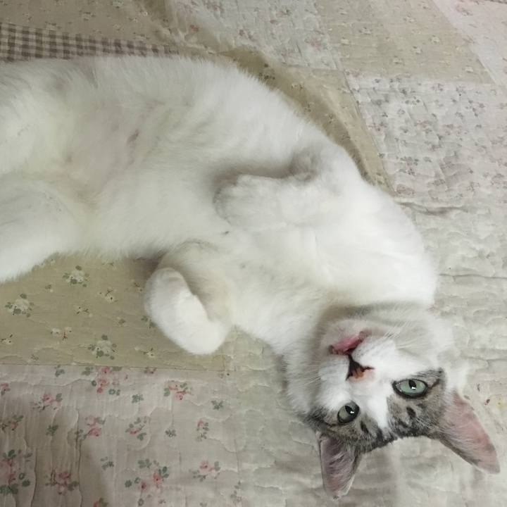 0da7356b f025 41b0 b3a1 1cdc9fe665ef