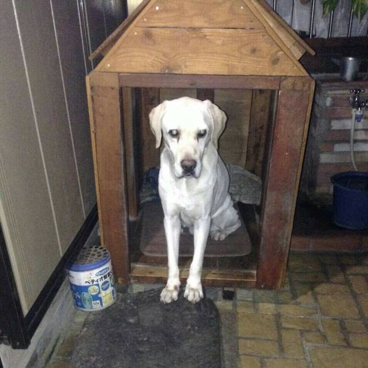 0da76734 89a3 4892 a259 2600f73ddb61