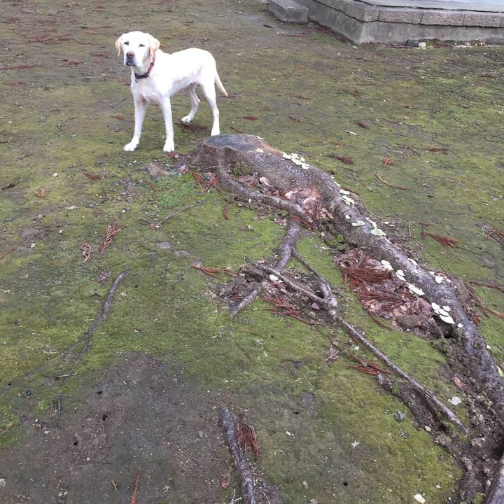 0da7d7fd b2c3 4d53 80d7 04969c91da1c