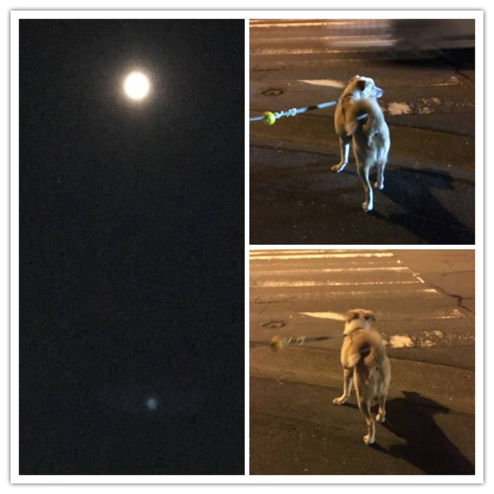 0da7f083 2b66 4958 b65f 857d0b0aa1f0