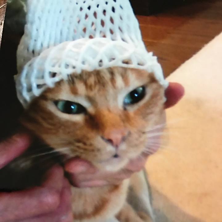 0da8c10b 11dc 4462 9826 f5ea17b04a9c